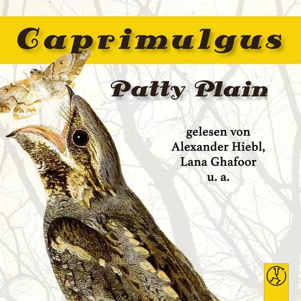 Caprimulgus