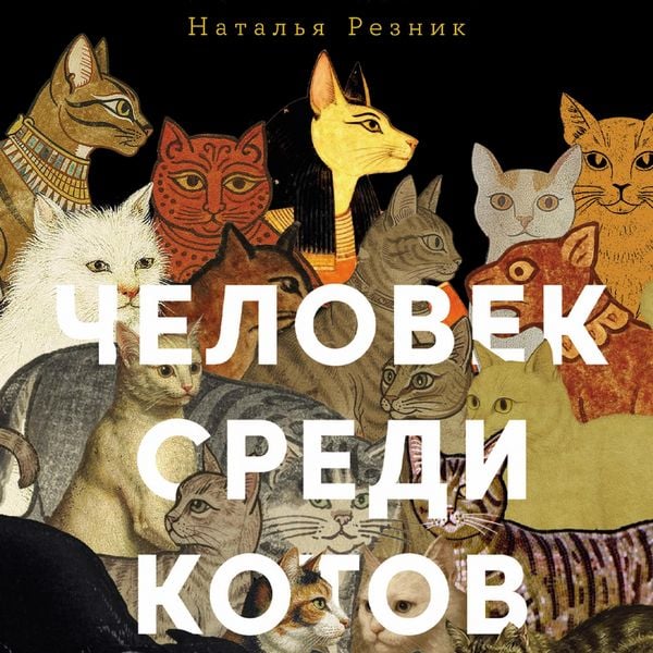Chelovek sredi kotov