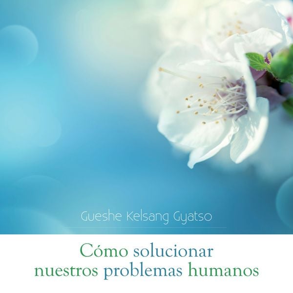 Cómo solucionar nuestros problemas humanos