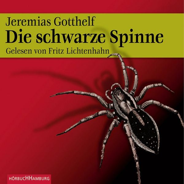 Die schwarze Spinne