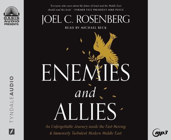 Enemies and Allies