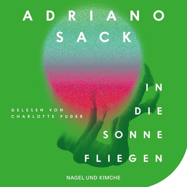 In die Sonne fliegen
