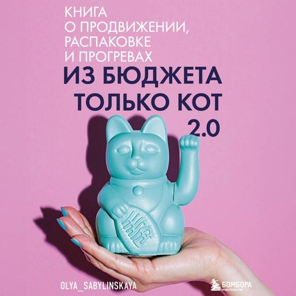 Iz byudzheta tolko kot 2.0