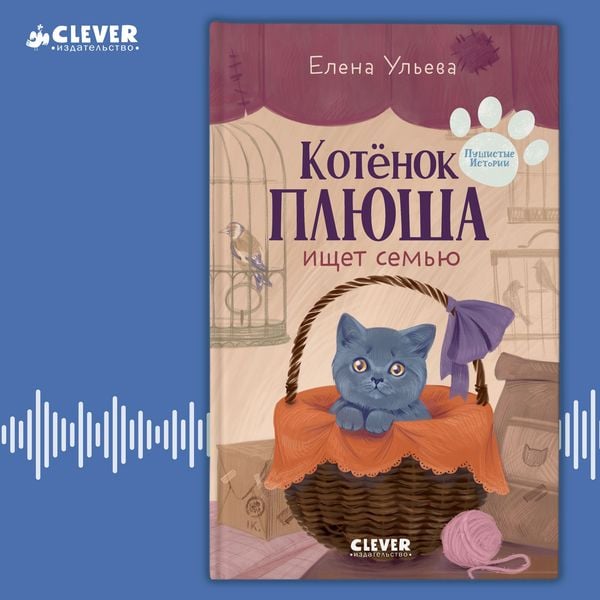 Kotenok Plyusha ischet semyu
