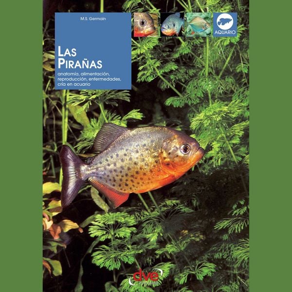 Las pirañas: Anatomía