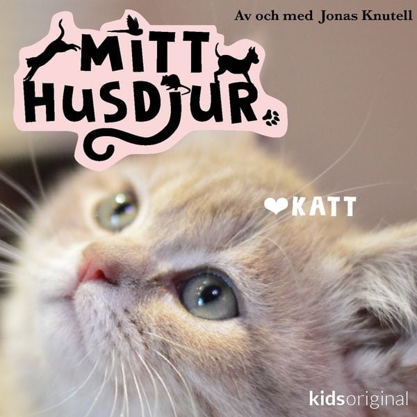 Mitt husdjur: Marsvin
