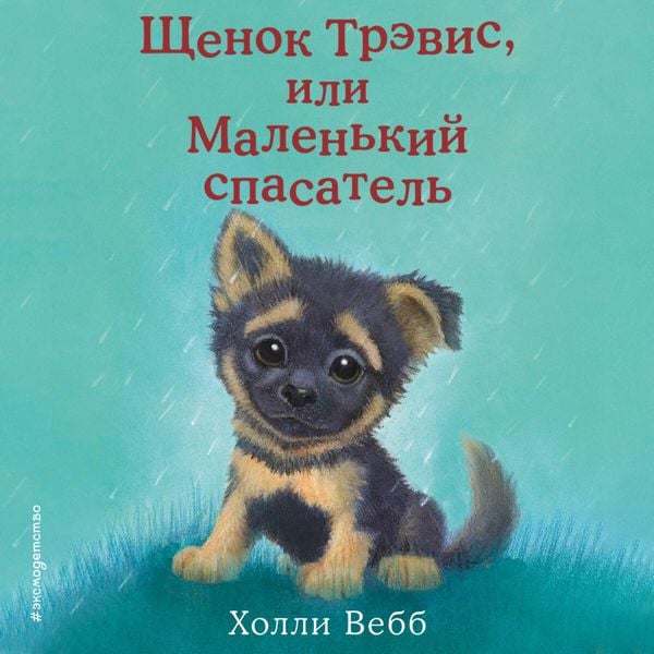 Schenok Trevis