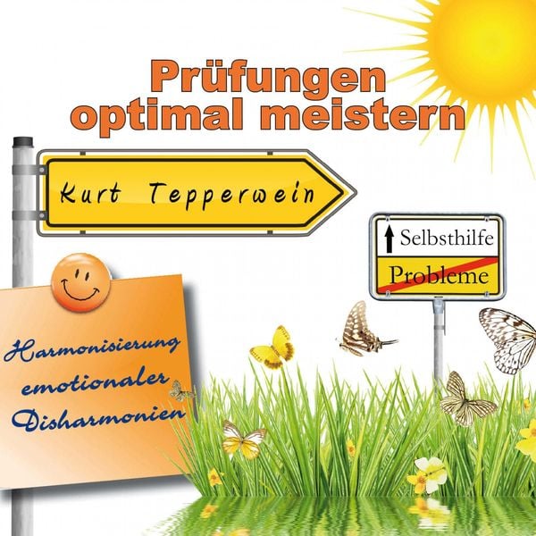 Selbsthilfe: Prüfungen optimal meistern (Harmonisierung emotionaler Disharmonien)