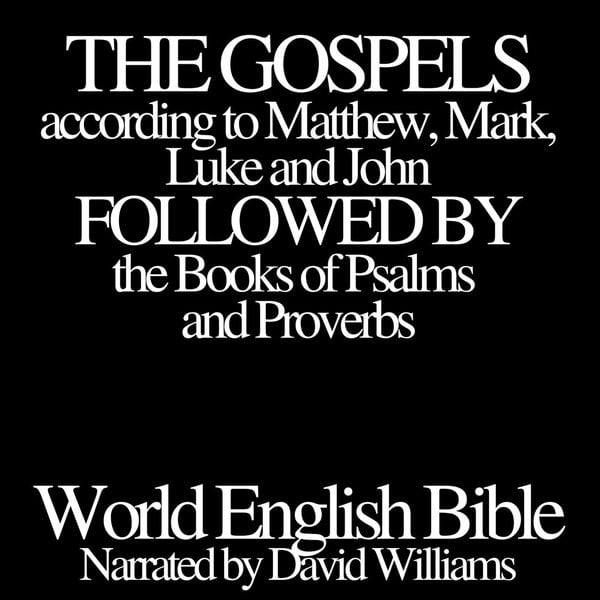 The Gospels according to Matthew