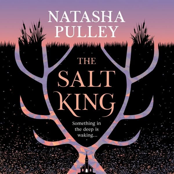The Salt King