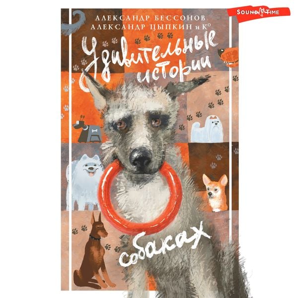 Udivitelnye istorii o sobakah