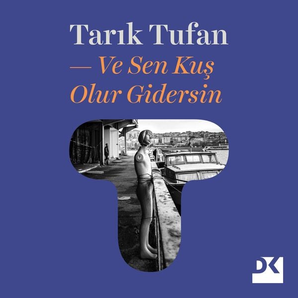 Ve Sen Kuş Olur Gidersin