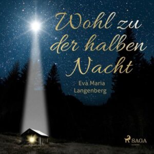 Wohl zu der halben Nacht